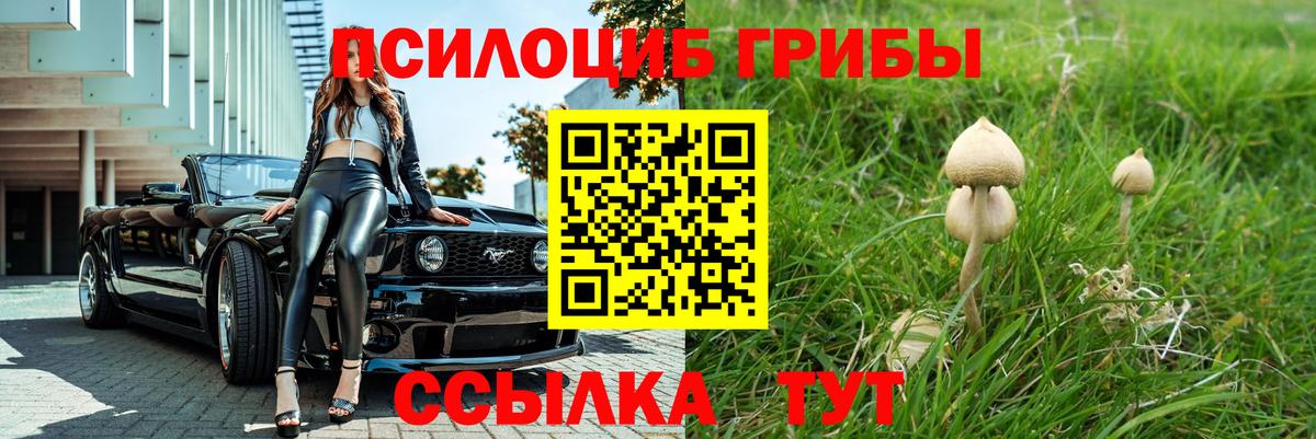Галлюциногенные грибы Cubensis  Вход с VPN  Алапаевск 